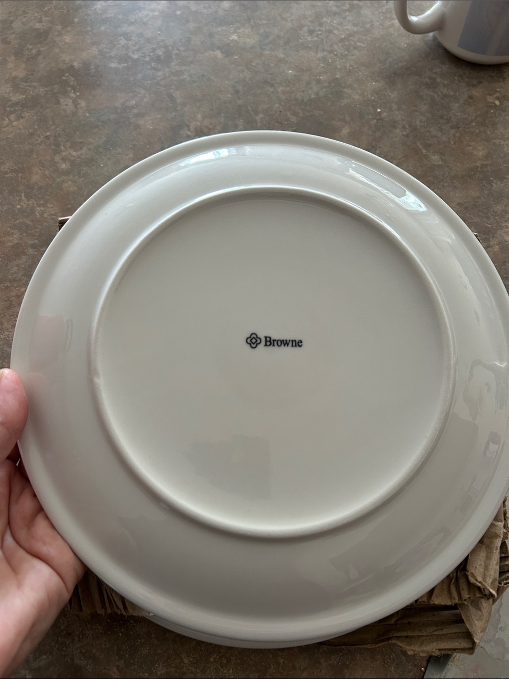 Cream Ceramic Dinner Plates 3pcs plus mug